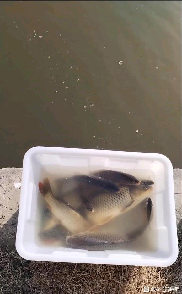 ”放生戒邪淫！！！