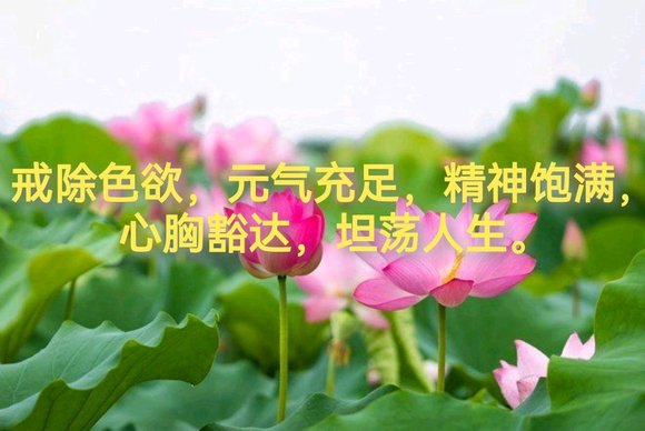 ”克制不住sy