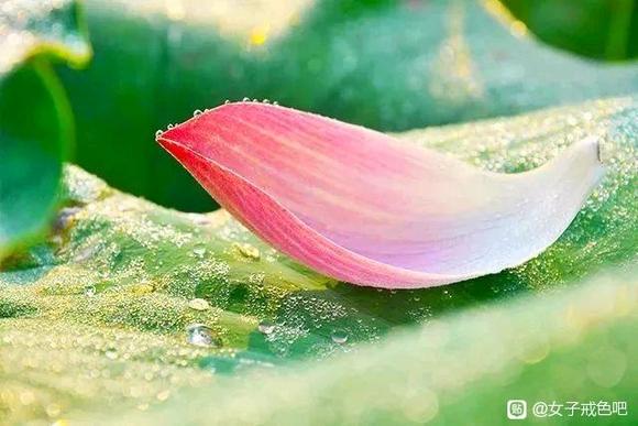 ”好好说话，真的可以改变命运