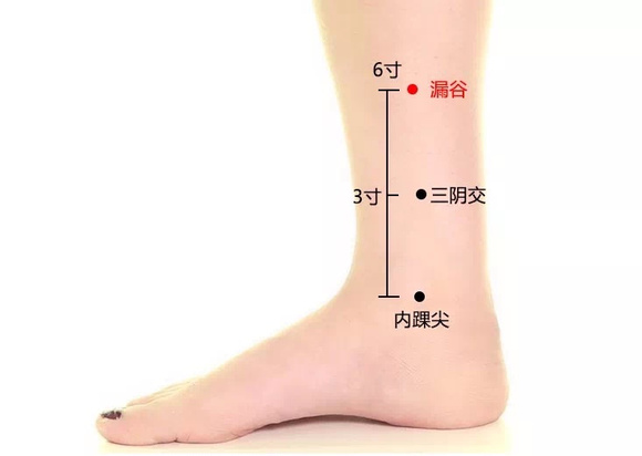 ”调理健康问题几个穴位