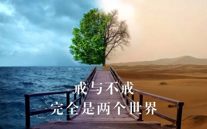 ”分享：戒色的方法
