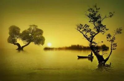 ”彭鑫博士：夏天女性穿着短裙、吊带、露背对身体的危害