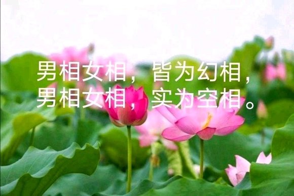 ”男的女的？？好看不好看？都是幻相而已！！