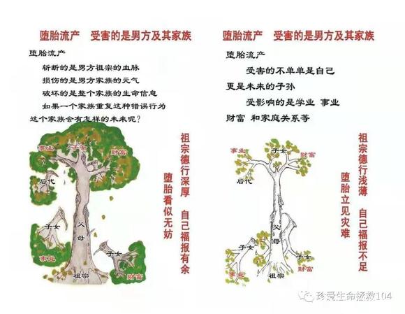 ”寿康宝鉴-你必须要了解