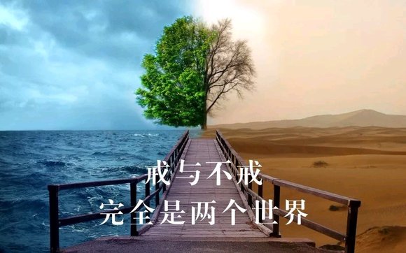 ”早上不起“封杀阳气”，晚上不睡“耗伤阳气”