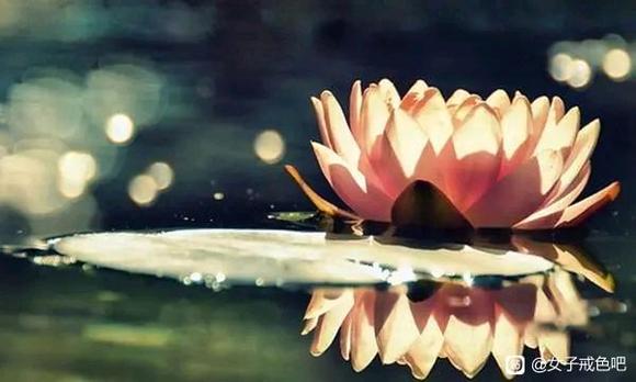 ”一位女子的真心忏悔