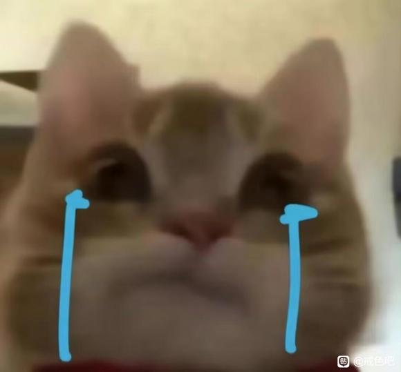 ”戒色群互相监督