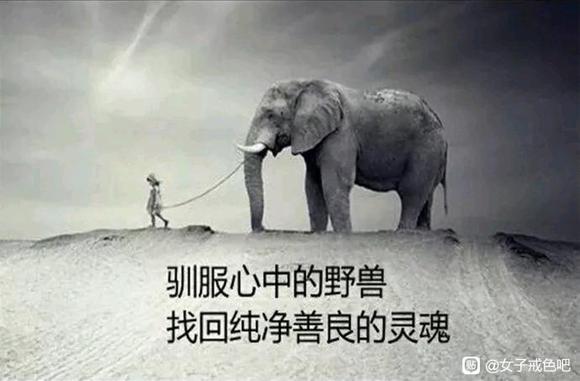”你是什么样的人，就会遇到什么样的人，同频才能共振