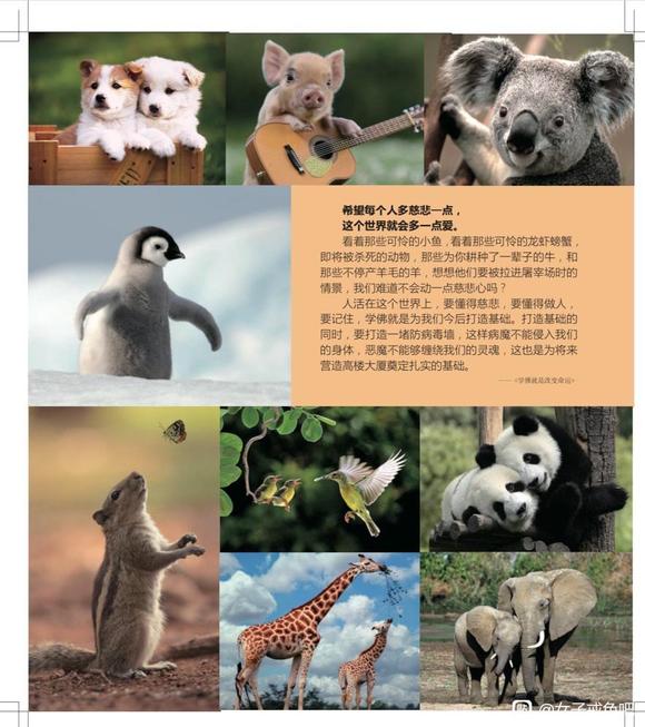 ”救彼命