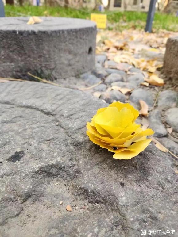 ”为什么善良的人一生痛苦，磨难很多。