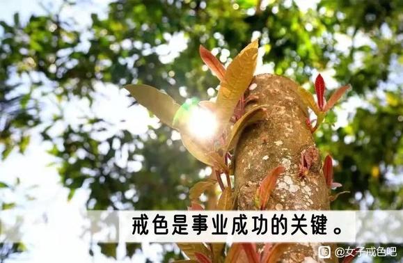 ”论女子如何戒色