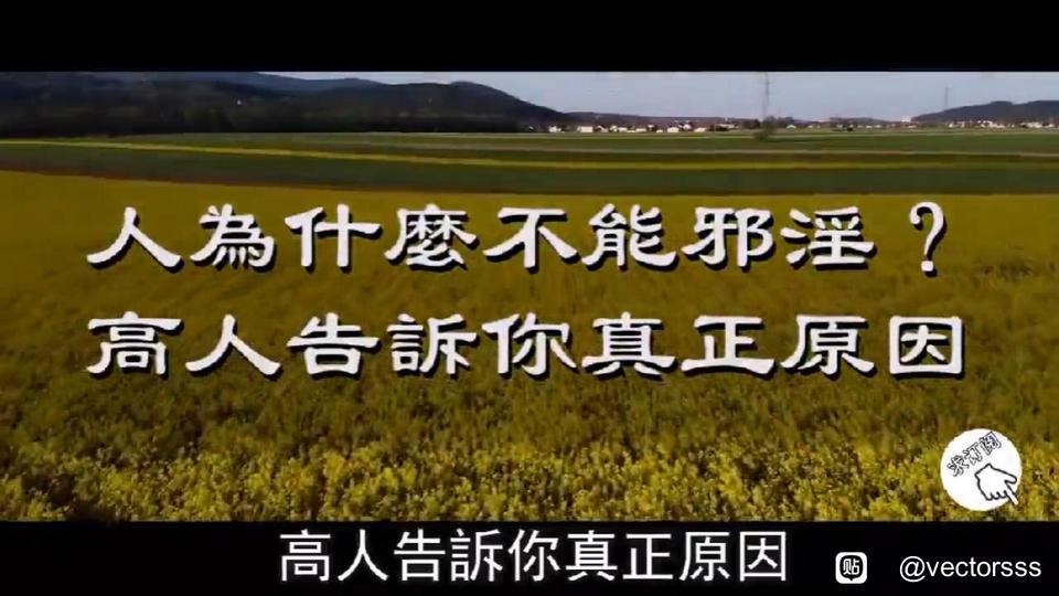 ”分享：这个视频告诉你为什么人不可以邪淫