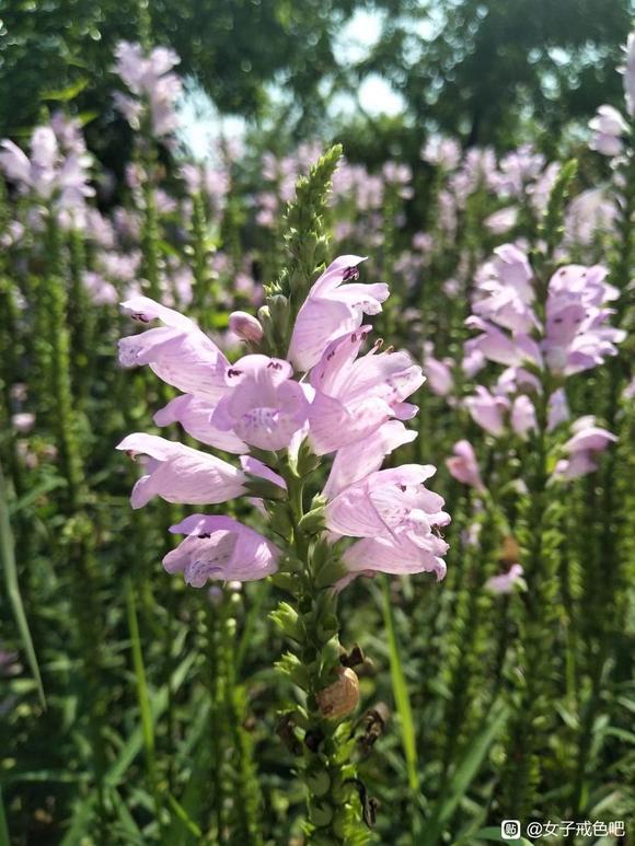 ”避开那些届瑟的误区