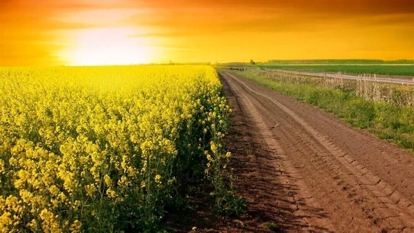 ”四大孝是什么，该如何去做？