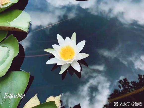 ”小三，一个永远都掉价的称谓。