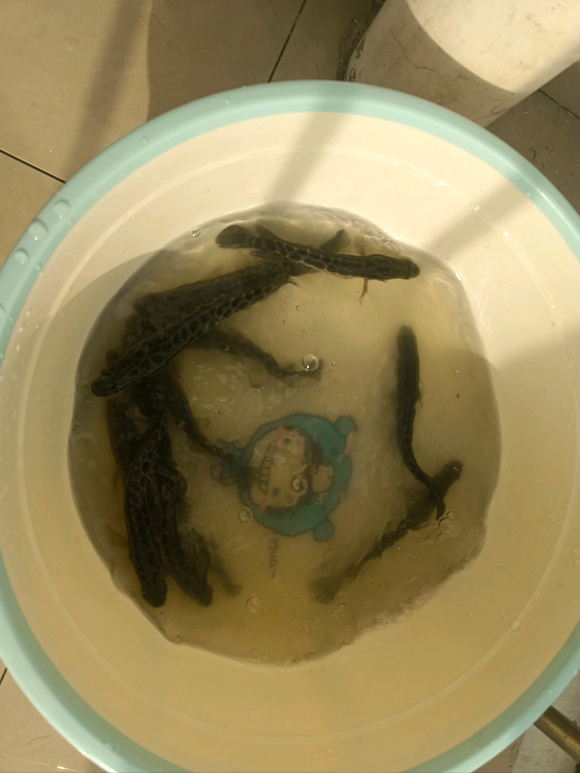 ”戒色一个月(28天)总结