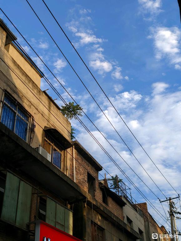 ”戒色打卡,第三十七天