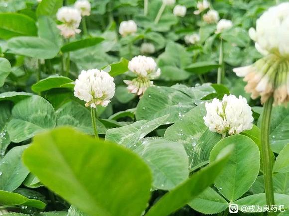 ”戒色是身体健康的关键