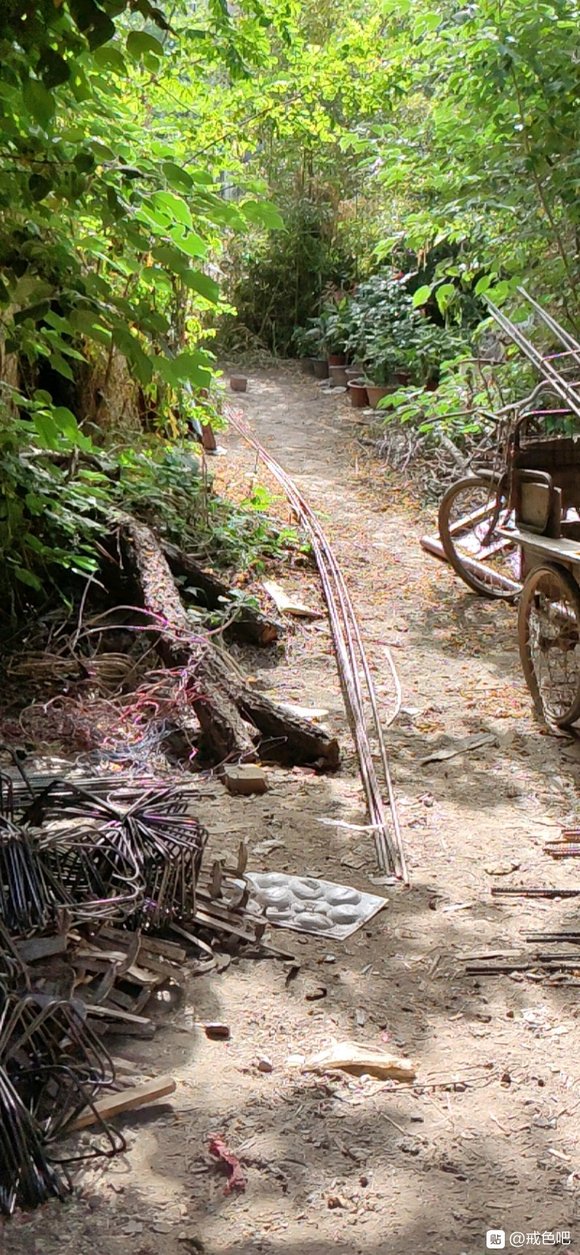 ”好严重，已经完全没有喜怒哀乐了，困饿渴累这些也都感受不到，每