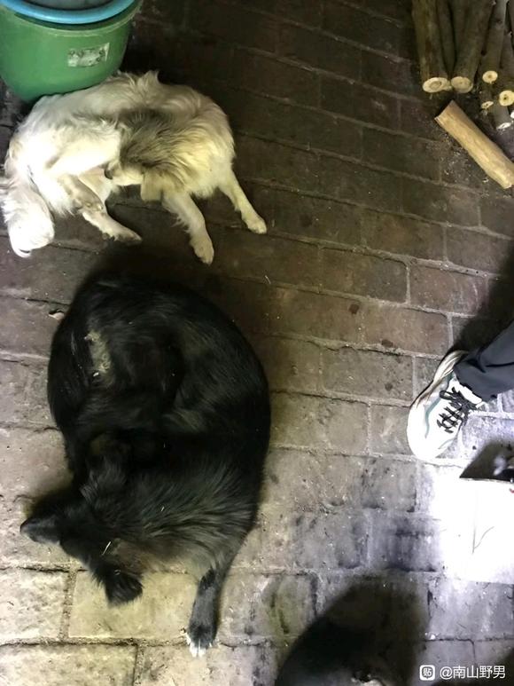 ”做客山中戒友家