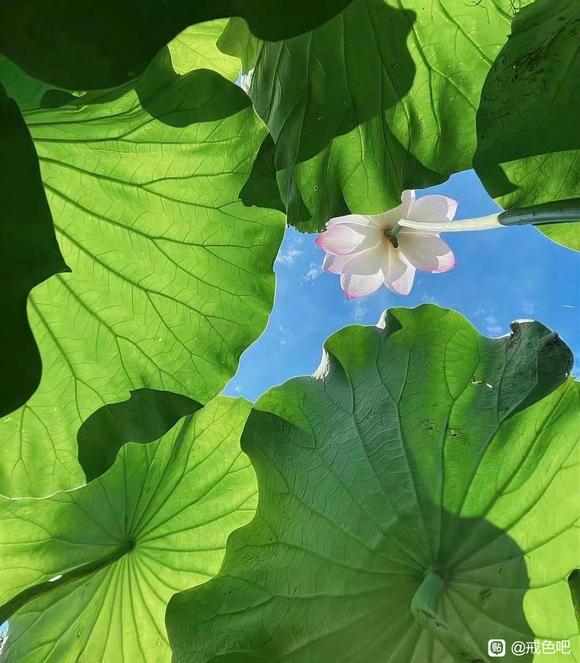 ”我的自渎史长达15年，每周四五次，如今不孕不育！