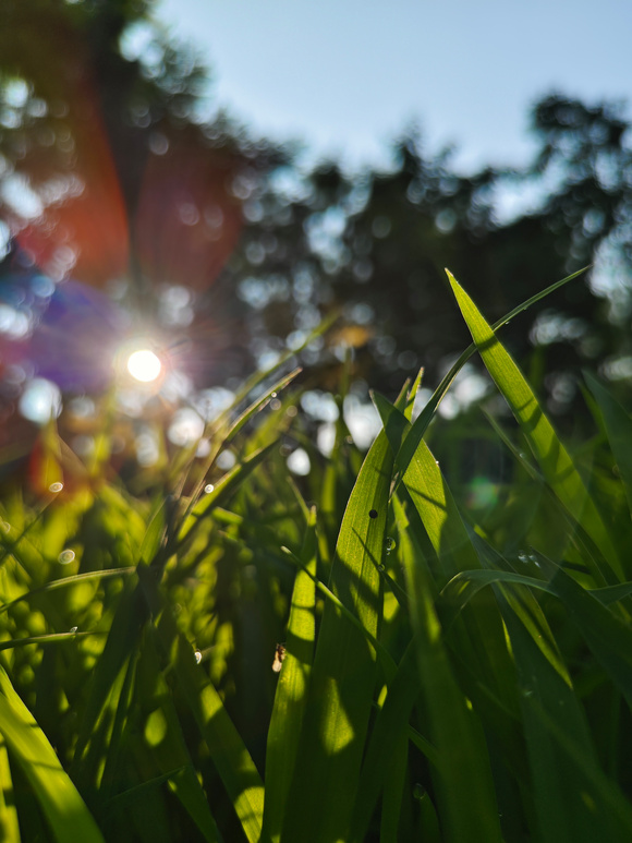 ”人生很短，切勿浪费