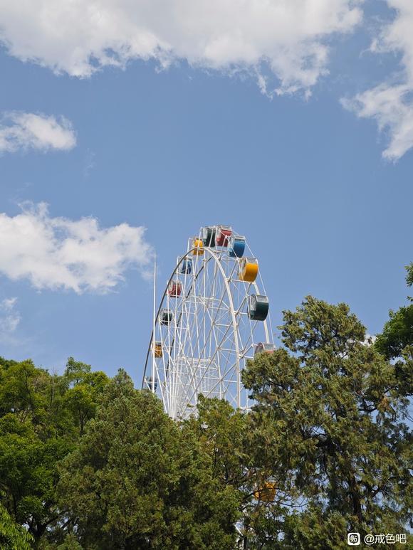 ”加油，开启戒色打卡。