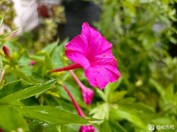 ”戒撸一周心得体会