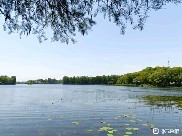 ”戒撸一周心得体会