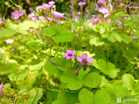 ”戒撸一周心得体会