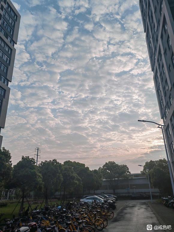 ”立志打卡，请各位师兄监督！