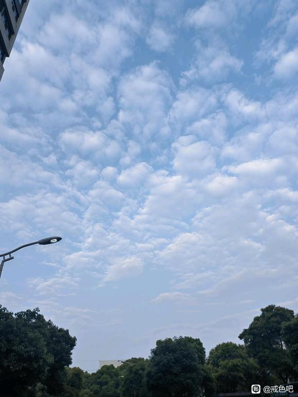 ”立志打卡，请各位师兄监督！