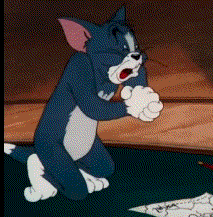 ”打卡打卡！！