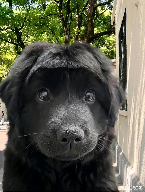 ”16岁法令纹就特别深了，发际线也特别高天天掉一大堆头发