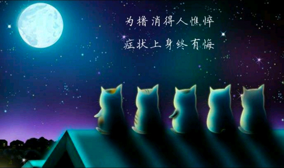 ”《两次陷阱，一次重逢，便是永远!》#文章#（587字）