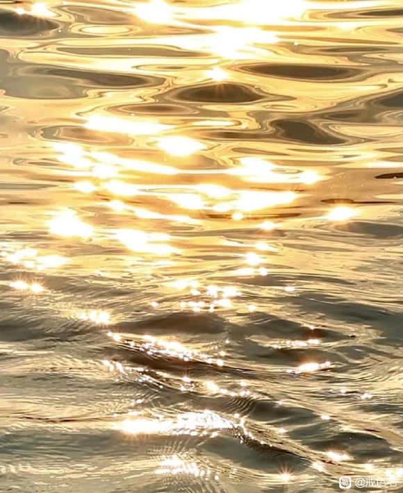 ”第三百十九章