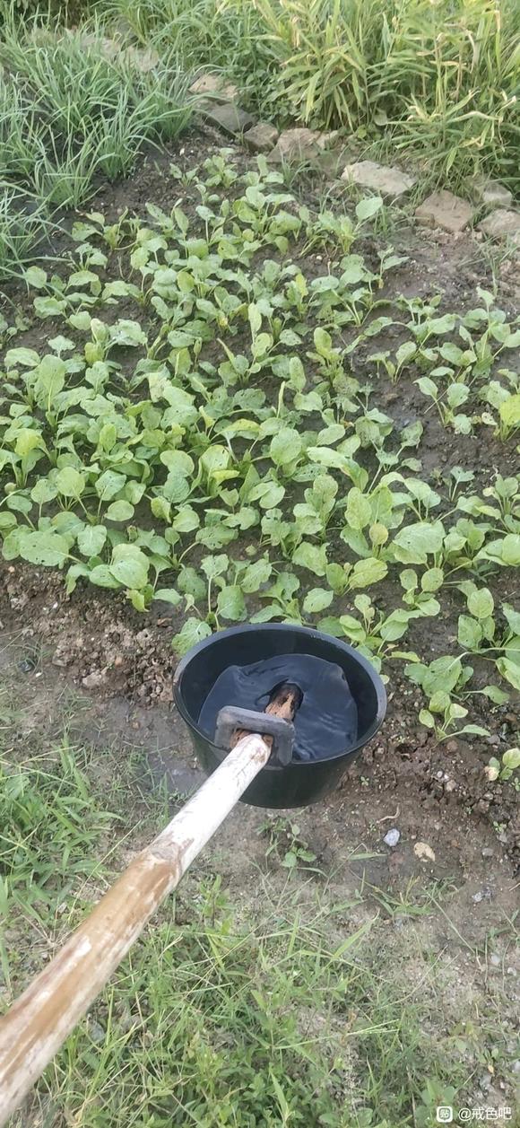 ”连续吃了四天六味地黄丸，梦遗了