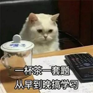 ”戒色打卡365天