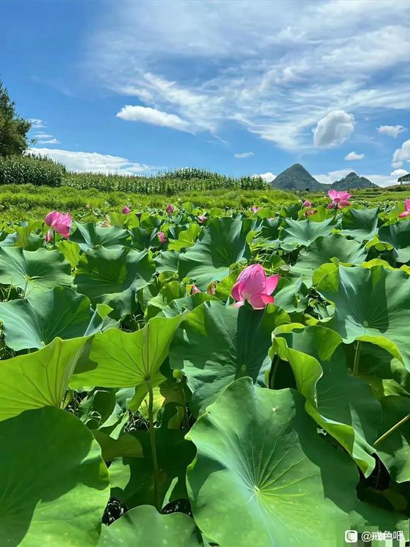 ”浅谈阳痿及恢复治疗