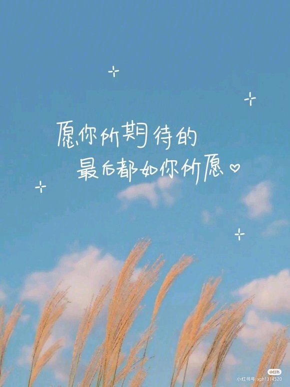 ”学生党相互督促，在暑假里蜕变！