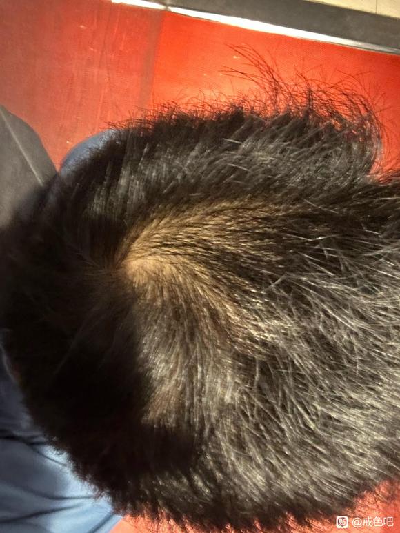 ”罪孽的十二年。