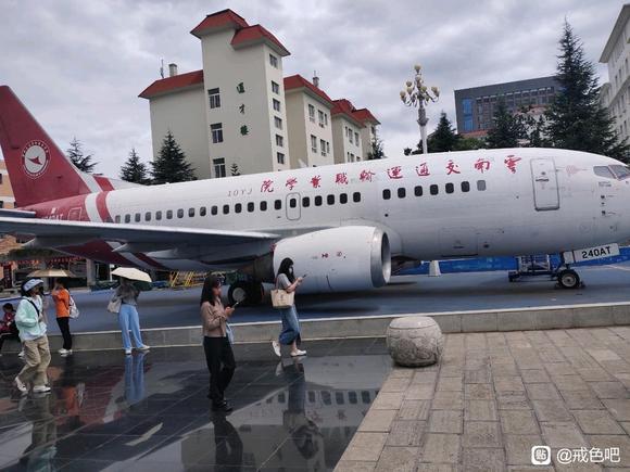 ”运气如直线坠机，坠死我了