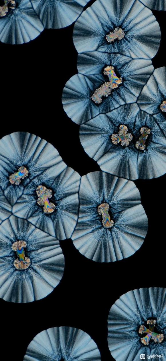 ”蹲个互助好友