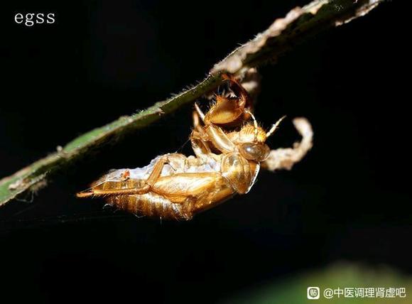 ”戒色!色即是空……!