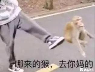 ”有没有管理员啊，现在贴吧里突然多了这么多片哥，全是打网站打广