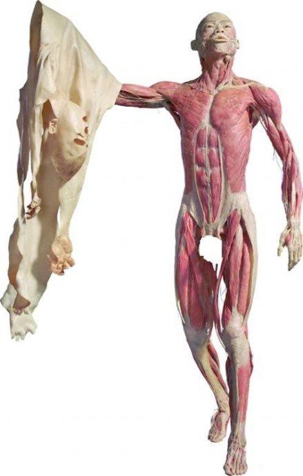 ”受不了了，来点图