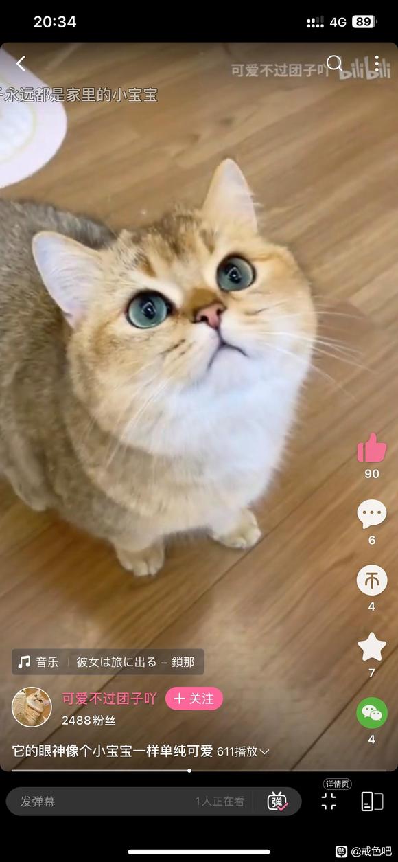 ”百日筑基，加油！