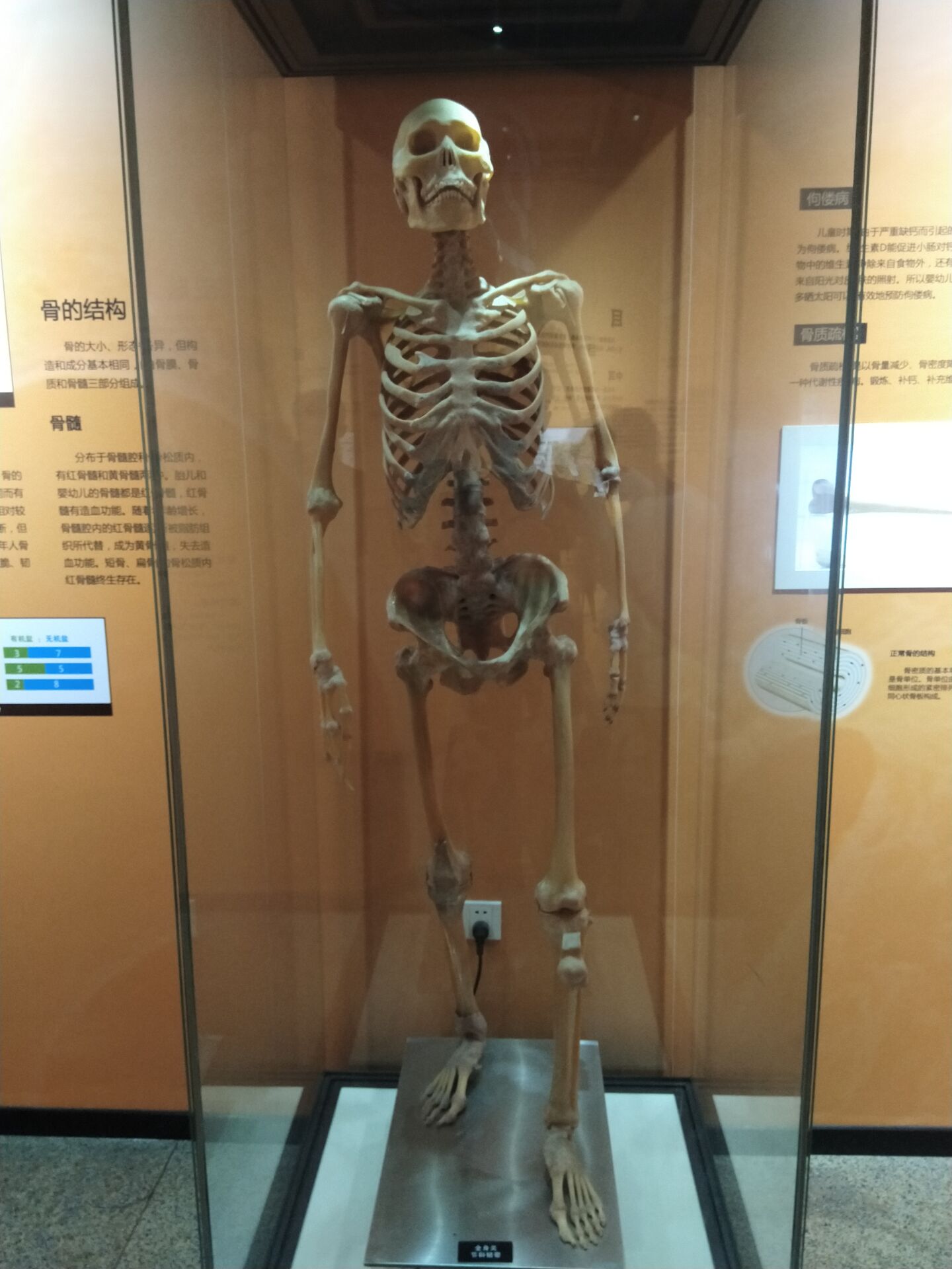 ”分享：大家热爱的美色