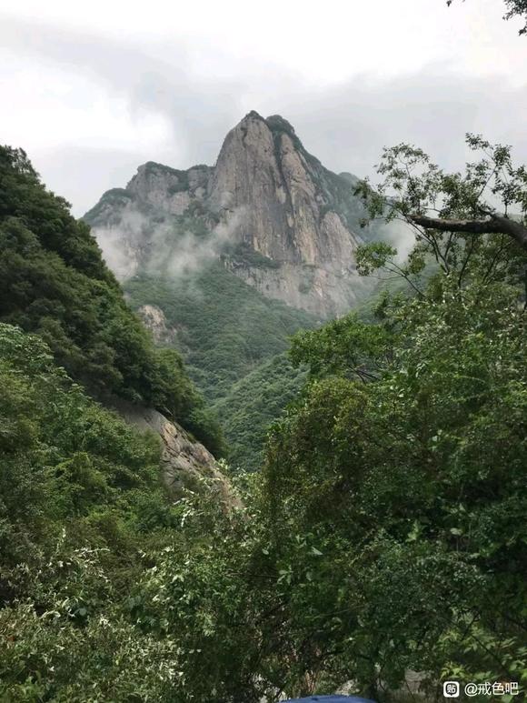 ”山里面有没有神仙？