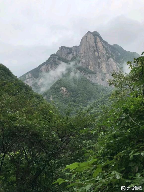 ”山里面有没有神仙？